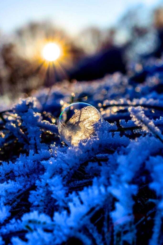 サイトポリシー